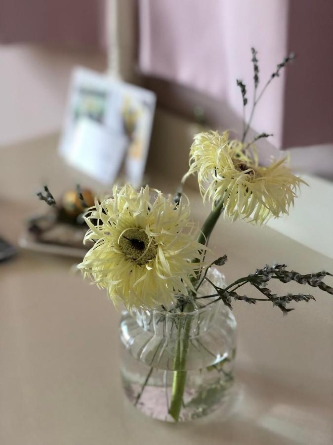 卡布-花藝小民宿 Taitung Floral B&B Luaran gambar